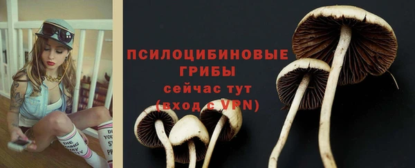 СК Алзамай