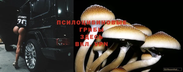 таблы Алексин