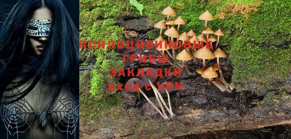 кокаин премиум Алексеевка